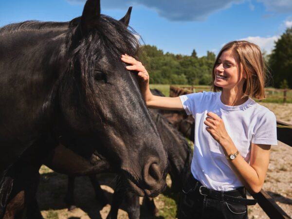 Pažintis su žirgu šeimai