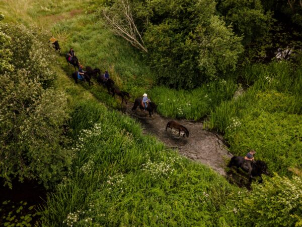 Jodinėjimas sodybos apylinkėse mišku