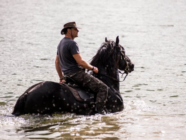 Maudynės su žirgu ežere
