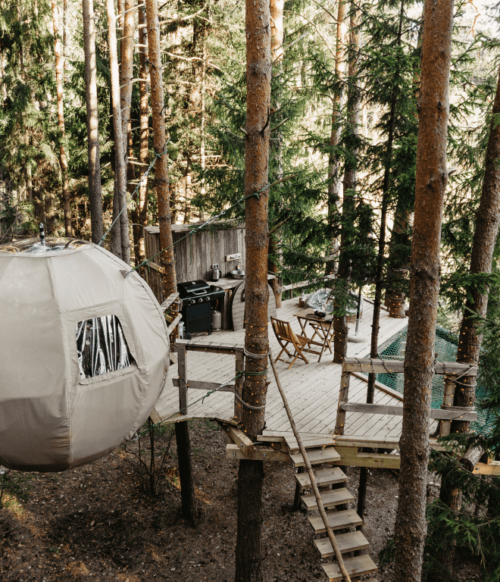 palapine-2-butinge- 15 palapine-2-butinge- 15