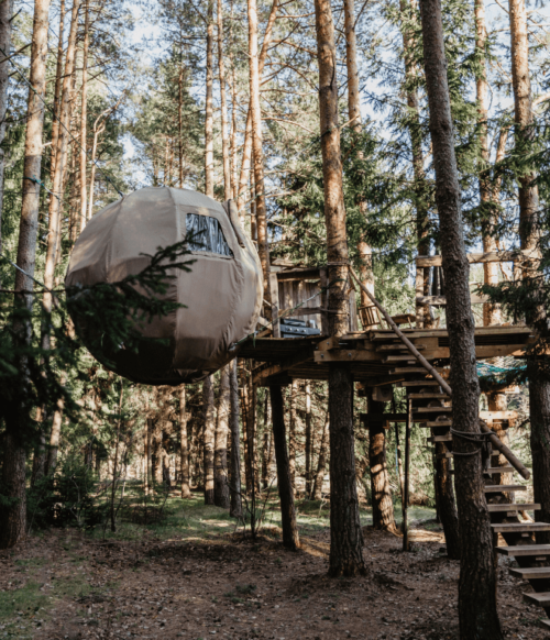 palapine-2-butinge- 17 palapine-2-butinge- 17