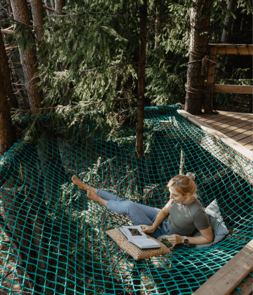 palapine-2-butinge- 2 palapine-2-butinge- 2