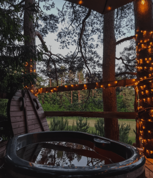 palapine-2-butinge- 4 palapine-2-butinge- 4