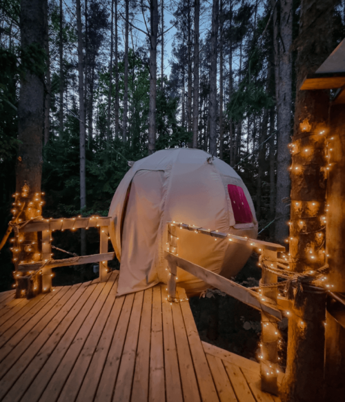 palapine-2-butinge- 6 palapine-2-butinge- 6