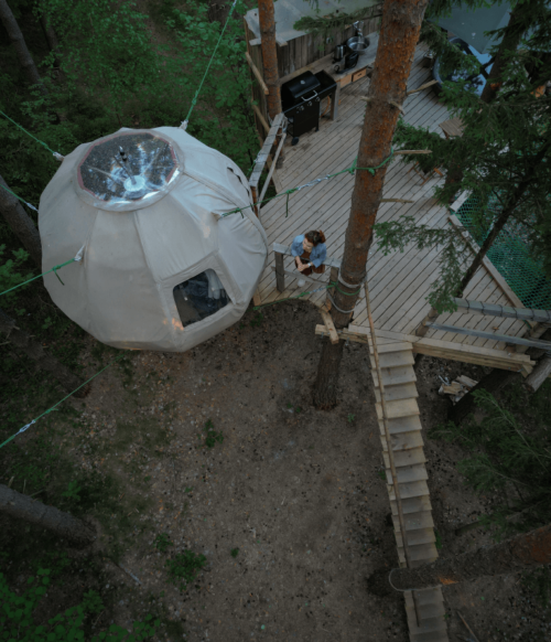 palapine-2-butinge- 8 palapine-2-butinge- 8