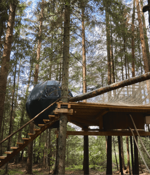 palapine-2-kasuciai- 11