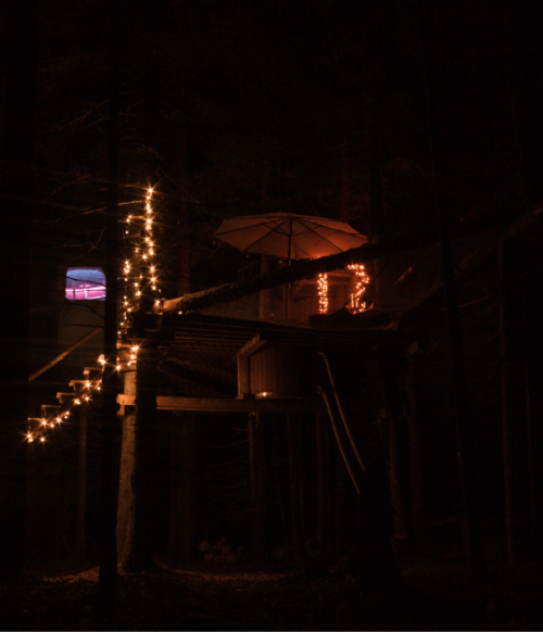 palapine-2-kasuciai- 15